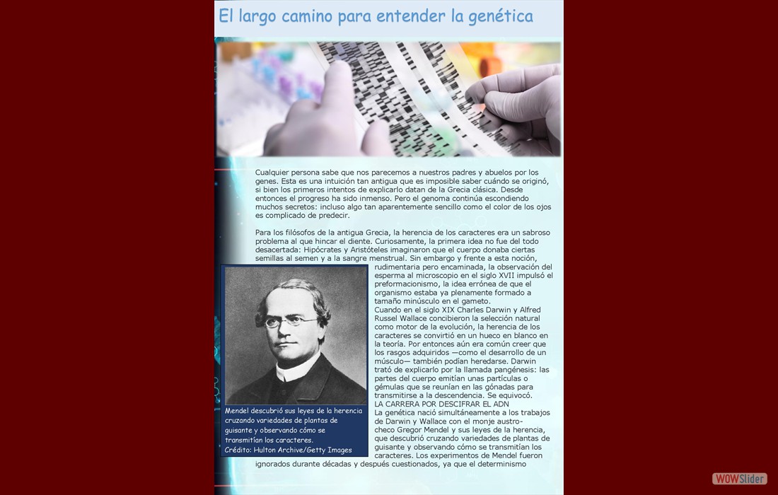 El camino para entender la genética