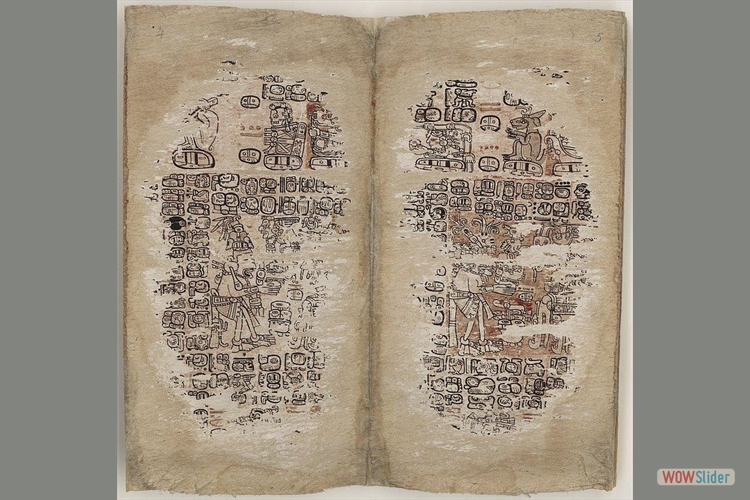 Paginas del Codice de Paris