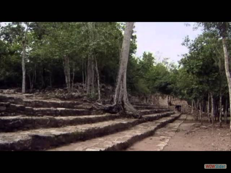 Antiguas Civilizaciones Los Mayas