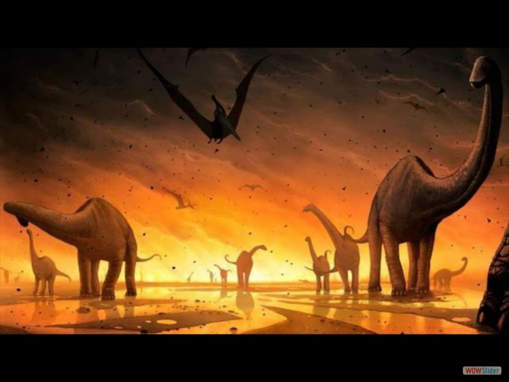 Evolución 4- La extinción