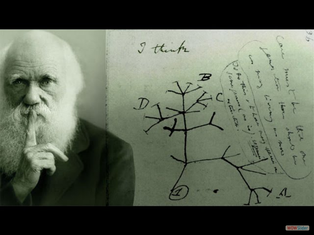 Evolución 1- La peligrosa idea de Darwin I