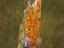 hope - Klimt