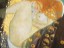 Klimt-Danae