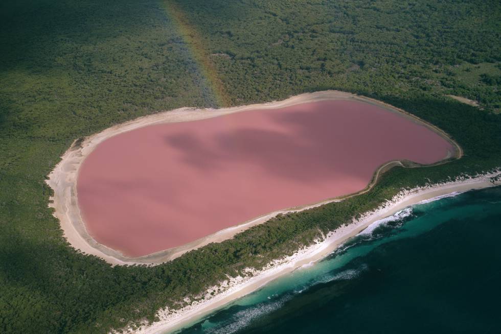 Para dibujar la isla de Middle, en el casi desconocido archipiélago australiano de La Recherche, hace falta un lápiz rosa. Preferiblemente, color rosa chicle, para representar adecuadamente su accidente más llamativo, el lago Hillier. Los científicos no tienen muy claro por qué es tan rosa, pues las aguas azul intenso del océano Antártico están a solo unos metros. A diferencia de otros lagos de colores, el tono del Hillier no es un reflejo del fondo ni se debe a la acción de bacterias; el agua mantiene su color rosa cuando se embotella. La isla de Middle forma parte de una reserva natural y no se puede visitar, pero el lago Hillier se puede contemplar en una excursión de 2 horas en helicóptero desde Esperance (Australia Occidental).