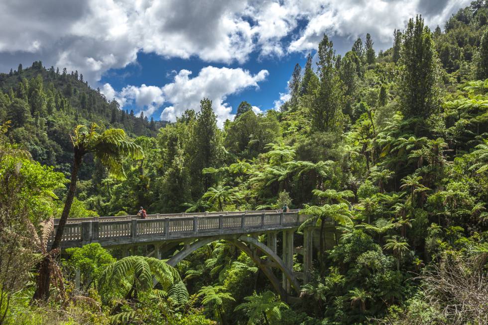 En las profundidades del bosque del parque nacional de Whanganui hay un puente de hormigón. Se construyó en 1936 para proporcionar acceso al remoto valle de Mangapurua, donde los soldados que habían regresado de la I Guerra Mundial habían instalado granjas en medio de los bosques. Pero el proyecto acabó siendo una decepción: tras años de bregar en un terreno pobre, la crisis económica de la década de 1920 provocó que las últimas familias de granjeros abandonasen el asentamiento y, en poco tiempo, la jungla invadió el lugar, borrando cualquier rastro de presencia humana, exceptuando el puente que llevaba al valle de sus sueños. De Pipiriki salen lanchas al embarcadero de Mangapurua, en el río Whanganui, de donde hay 40 minutos a pie hasta el puente.