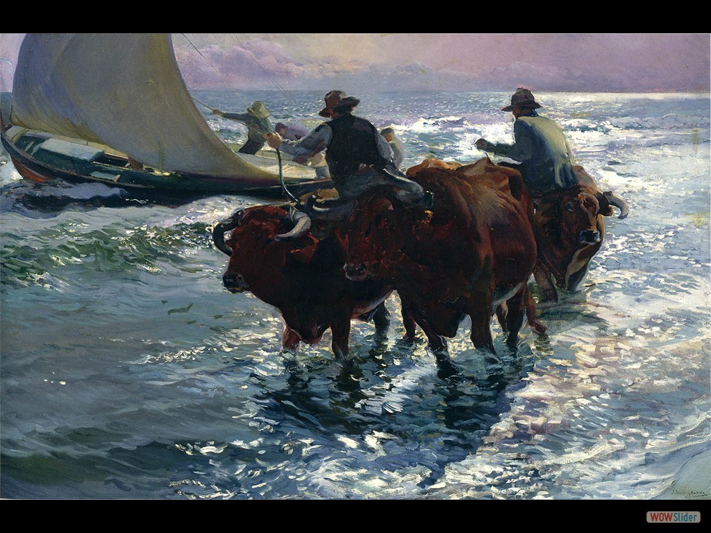 toros en la playa